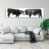 Bulls in Black and White